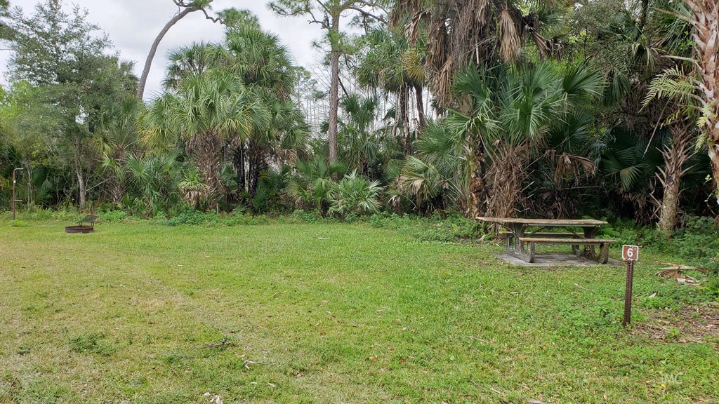 Camper submitted image from Gator Head Campground — Big Cypress National Preserve - 3