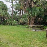 Review photo of Gator Head Campground — Big Cypress National Preserve by Jean C., April 1, 2020