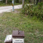 Review photo of Gator Head Campground — Big Cypress National Preserve by Jean C., April 1, 2020