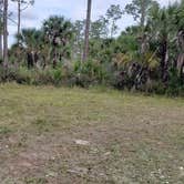 Review photo of Gator Head Campground — Big Cypress National Preserve by Jean C., April 1, 2020