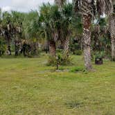 Review photo of Gator Head Campground — Big Cypress National Preserve by Jean C., April 1, 2020