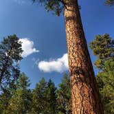Review photo of Lake Como Campground by Lindsay B., June 10, 2015