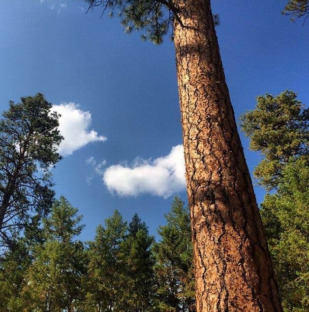 Camper submitted image from Lake Como Campground - 2