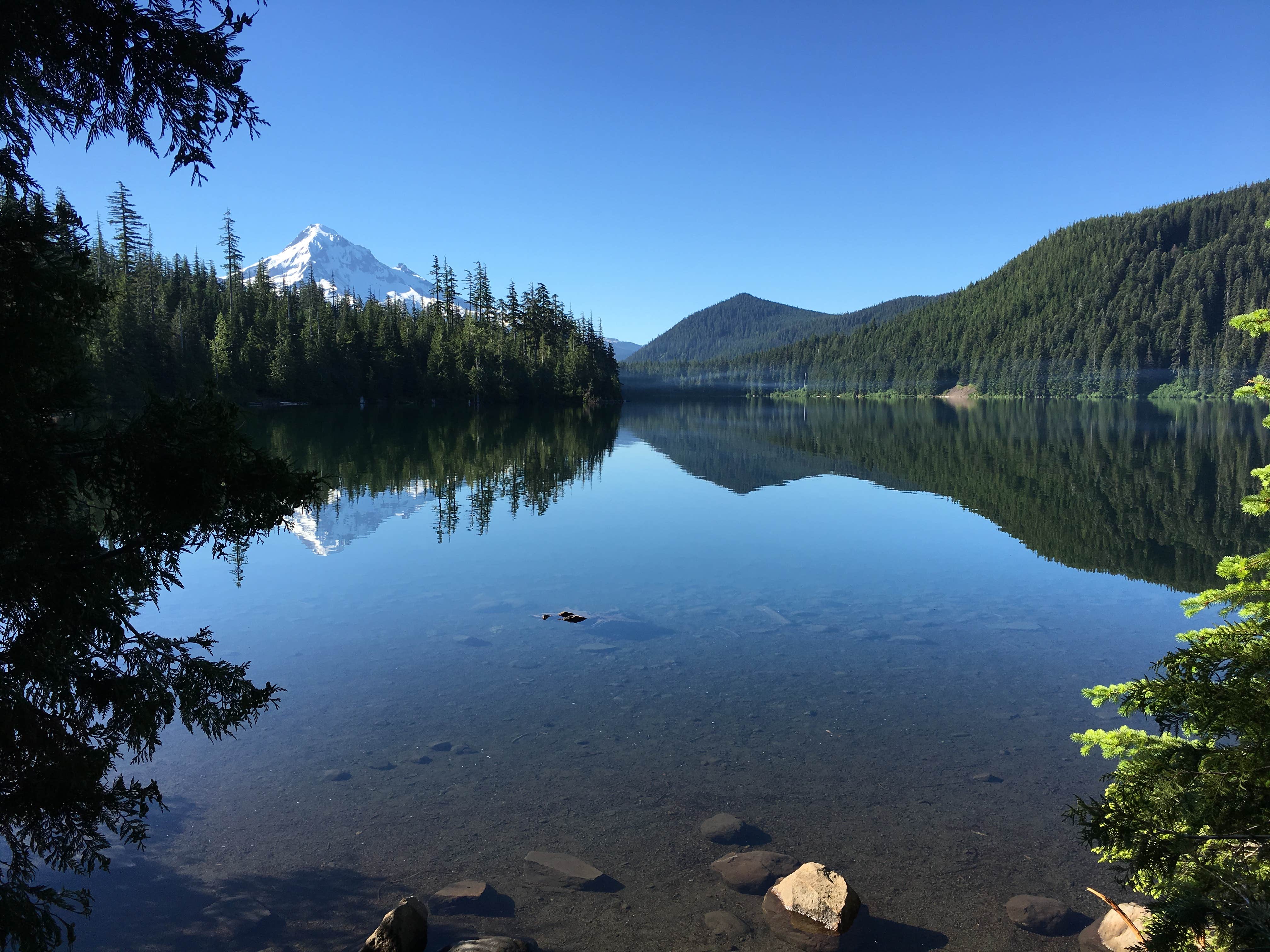 Camper submitted image from Lost Lake Resort And Campground — Mt. Hood National Forest - 2