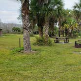 Review photo of Gator Head Campground — Big Cypress National Preserve by Jean C., April 1, 2020