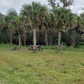 Review photo of Gator Head Campground — Big Cypress National Preserve by Jean C., April 1, 2020