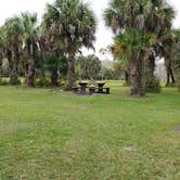 Review photo of Gator Head Campground — Big Cypress National Preserve by Jean C., April 1, 2020