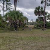 Review photo of Gator Head Campground — Big Cypress National Preserve by Jean C., April 1, 2020