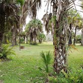 Review photo of Gator Head Campground — Big Cypress National Preserve by Jean C., April 1, 2020