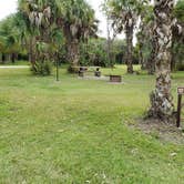 Review photo of Gator Head Campground — Big Cypress National Preserve by Jean C., April 1, 2020