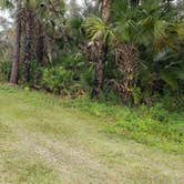 Review photo of Gator Head Campground — Big Cypress National Preserve by Jean C., April 1, 2020