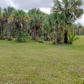 Review photo of Gator Head Campground — Big Cypress National Preserve by Jean C., April 1, 2020