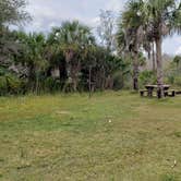 Review photo of Gator Head Campground — Big Cypress National Preserve by Jean C., April 1, 2020