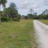 Review photo of Gator Head Campground — Big Cypress National Preserve by Jean C., April 1, 2020