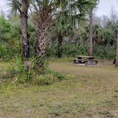 Review photo of Gator Head Campground — Big Cypress National Preserve by Jean C., April 1, 2020