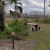 Review photo of Gator Head Campground — Big Cypress National Preserve by Jean C., April 1, 2020