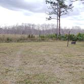 Review photo of Gator Head Campground — Big Cypress National Preserve by Jean C., April 1, 2020