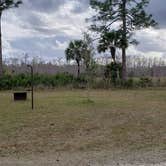 Review photo of Gator Head Campground — Big Cypress National Preserve by Jean C., April 1, 2020