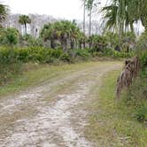 Review photo of Gator Head Campground — Big Cypress National Preserve by Jean C., April 1, 2020