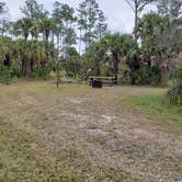 Review photo of Gator Head Campground — Big Cypress National Preserve by Jean C., April 1, 2020