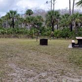 Review photo of Gator Head Campground — Big Cypress National Preserve by Jean C., April 1, 2020