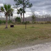 Review photo of Gator Head Campground — Big Cypress National Preserve by Jean C., April 1, 2020