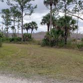 Review photo of Gator Head Campground — Big Cypress National Preserve by Jean C., April 1, 2020