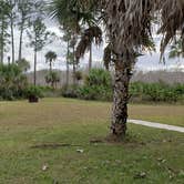 Review photo of Gator Head Campground — Big Cypress National Preserve by Jean C., April 1, 2020