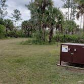 Review photo of Gator Head Campground — Big Cypress National Preserve by Jean C., April 1, 2020