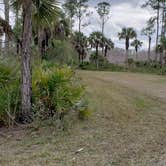 Review photo of Gator Head Campground — Big Cypress National Preserve by Jean C., April 1, 2020