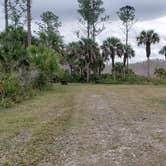 Review photo of Gator Head Campground — Big Cypress National Preserve by Jean C., April 1, 2020