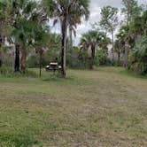 Review photo of Gator Head Campground — Big Cypress National Preserve by Jean C., April 1, 2020