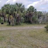 Review photo of Gator Head Campground — Big Cypress National Preserve by Jean C., April 1, 2020