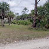 Review photo of Gator Head Campground — Big Cypress National Preserve by Jean C., April 1, 2020