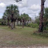 Review photo of Gator Head Campground — Big Cypress National Preserve by Jean C., April 1, 2020