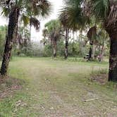 Review photo of Gator Head Campground — Big Cypress National Preserve by Jean C., April 1, 2020