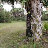 Review photo of Gator Head Campground — Big Cypress National Preserve by Jean C., April 1, 2020