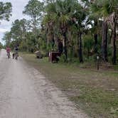 Review photo of Gator Head Campground — Big Cypress National Preserve by Jean C., April 1, 2020