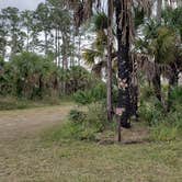 Review photo of Gator Head Campground — Big Cypress National Preserve by Jean C., April 1, 2020