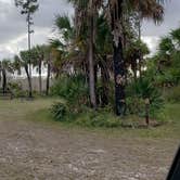 Review photo of Gator Head Campground — Big Cypress National Preserve by Jean C., April 1, 2020