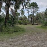 Review photo of Gator Head Campground — Big Cypress National Preserve by Jean C., April 1, 2020