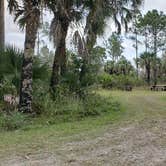 Review photo of Gator Head Campground — Big Cypress National Preserve by Jean C., April 1, 2020