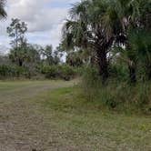 Review photo of Gator Head Campground — Big Cypress National Preserve by Jean C., April 1, 2020