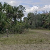 Review photo of Gator Head Campground — Big Cypress National Preserve by Jean C., April 1, 2020