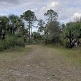 Review photo of Gator Head Campground — Big Cypress National Preserve by Jean C., April 1, 2020