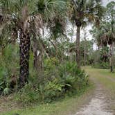 Review photo of Gator Head Campground — Big Cypress National Preserve by Jean C., April 1, 2020