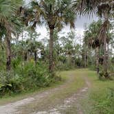 Review photo of Gator Head Campground — Big Cypress National Preserve by Jean C., April 1, 2020