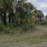 Review photo of Gator Head Campground — Big Cypress National Preserve by Jean C., April 1, 2020