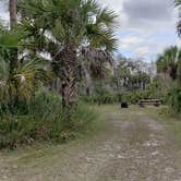 Review photo of Gator Head Campground — Big Cypress National Preserve by Jean C., April 1, 2020