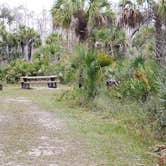 Review photo of Gator Head Campground — Big Cypress National Preserve by Jean C., April 1, 2020